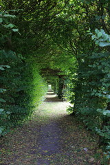 alley in park