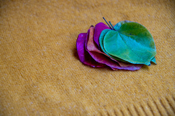 bright colored leaves on a heap on a yellow ocher background 