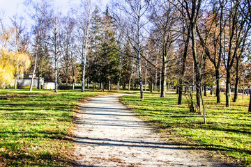 Fototapeta na wymiar A road way in the park with trees. Ukraine. A city Sumy.