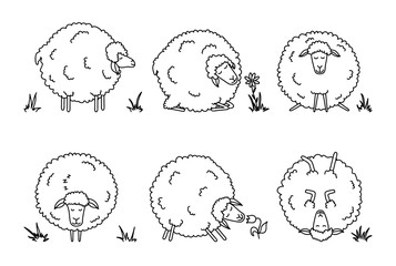 Funny cartoon sheep set. Farm animals on white background. Cute lambs. Vector illustration.