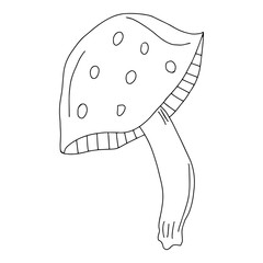 Mushroom fly agaric.Nature elements vector set in Doodle style. Zentangle coloring book page