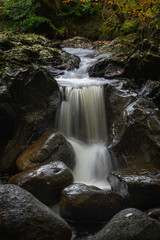 Fototapeta premium Waterfall in Scottish woodland.