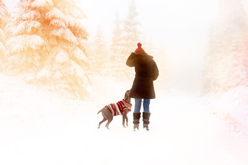 Frau und Hund bei einem Spaziergang zur Weihnachtszeit im Wald