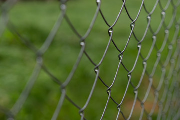 Fototapeta premium View through a fence, unsharp greenery in the background