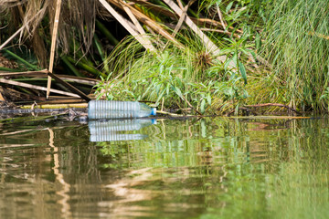 Empty plastic bottle thrown away in the water, litterin in the national park, Lake Mburo, Uganda, Africa.