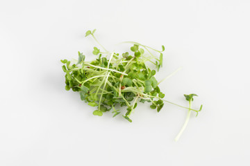 broccoli sprouts heap isolated on white background. nutrition. bio. natural food ingredient.
