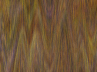 Naklejka premium Abstract wood background texture. Surface hardwood of wooden board floor wall fence table timber pattern design.