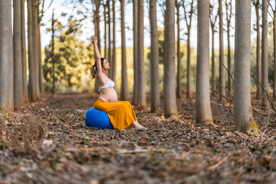 Adult pregnant lady sitting on big pilates ball in park during sunny day