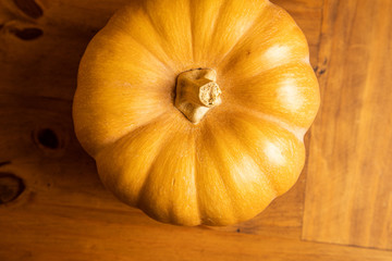 autumn center background with orange tones