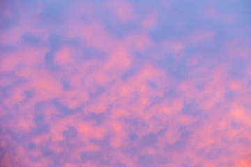 Beautiful pink clouds in the blue sky