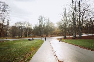road in the park