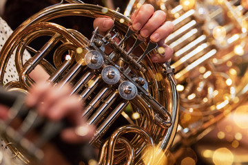 french horn during a classical concert music