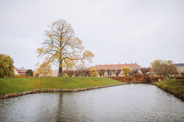 Fototapeta na wymiar autumn in the Copenhagen park 