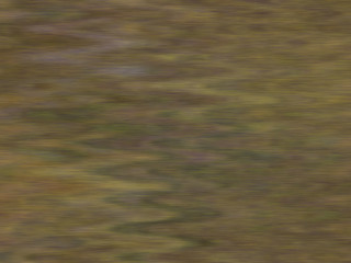 Wood texture background pattern. Dark hardwood planks surface of wooden board floor wall fence. Abstract timber decorative illustration.