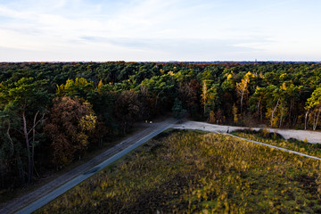 An aerial view from above on national park Loonse en Drunense duinen during fall near Loon op Zand, Brabant, Netherlands