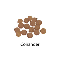 Coriander spice vector illustration in flat design isolated on white background.