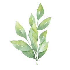 Watercolor bouquets of delicate spring flowers