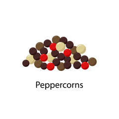 Peppercorns spices vector illustration in flat design isolated on white background.