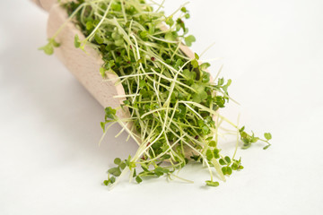broccoli sprouts in wooden scoop isolated on white background. nutrition. bio. natural food ingredient.