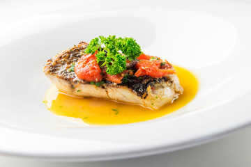 Argyrosomus regius fish course to crazy water