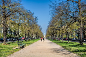 baumallee in der schloßstraße in berlin charlottenburg, deutschland