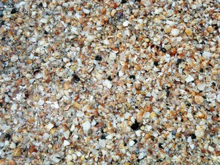 beach gravel