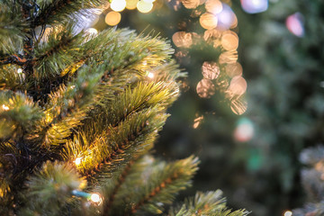 Fototapeta na wymiar christmas tree and bokhe, blurred background
