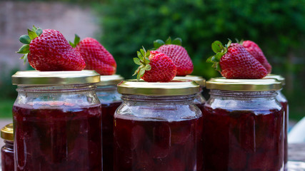 Mermelada-Dulce Frutilla