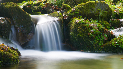 Arroyo