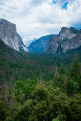 Fototapeta na wymiar Yosemite valley vert