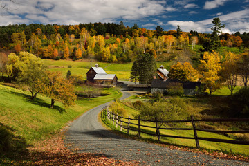 Bright Fall leaves around Sleepy Hollow Farm on Cloudland Road Woodstock Vermont