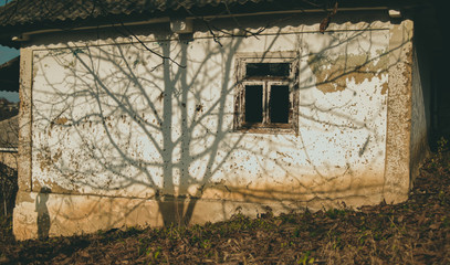 Walnut tree shadow on an old abandoned house with golden light