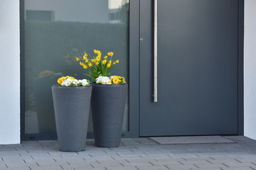 Large gray pots with spring flowers next to a gray door. Flowers at the entrance to a modern house