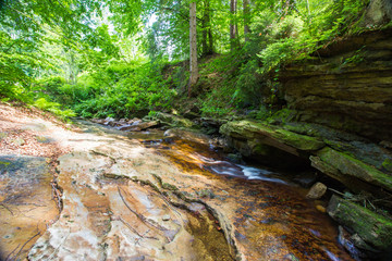 The brook in mountain