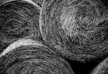Circular bales of hay in a stack. Picture of haystacks in black and white colours. Atmospheric background of hay bales. Texture of hay. © SykoraTomas_CZ