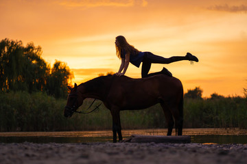 Silhouetted a slender girl practicing yoga on horseback, at sunset the horse stands in the lake....