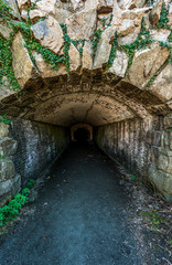 Stone tunnel with green plants spilling over