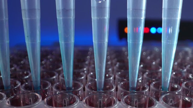 Modern PCR test robotic machine, molecular genetic research laboratory, Automated DNA Processor real-time PCR cycler.