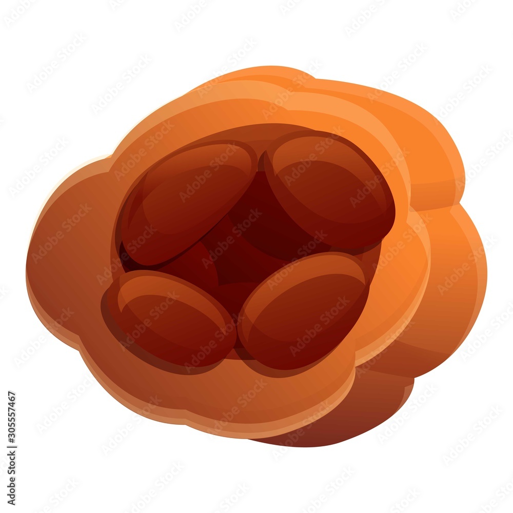 Poster cocoa icon. cartoon of cocoa vector icon for web design isolated on white background