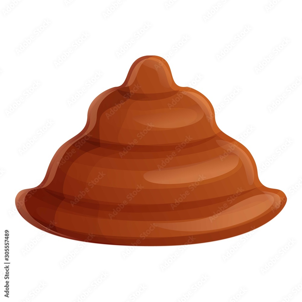 Poster cocoa bonbon icon. cartoon of cocoa bonbon vector icon for web design isolated on white background