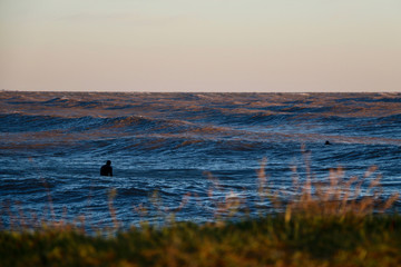 Lake waves, surfer waiting for waves