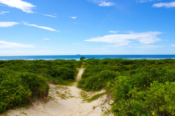 landscape with river and blue sky