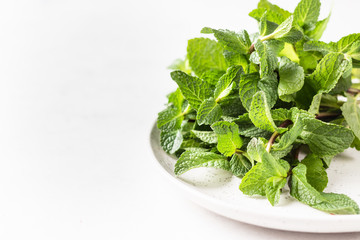 Green fresh mint on ceramic plate, selective focus. Copy space for space.