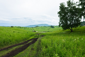 Russian green hills and meadows in Altai. Aya Lake for tourists. The sun and sunset of the day. Summer and grass. Nature travel