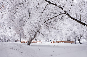 Park in Yuzhnoye Butovo District (Southern Butovo). Moscow. Russia