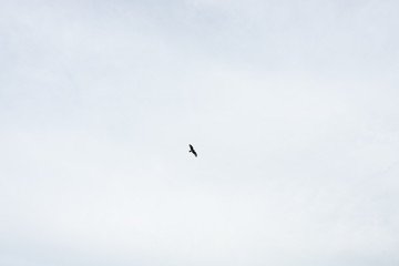 Russian green hills and meadows in Altai. Aya Lake for tourists. The sun and sunset of the day. Summer and grass. Nature travel