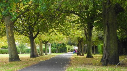 Path in the park