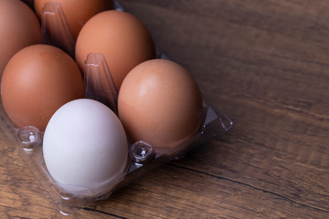 Chicken and duck eggs on black background.