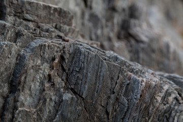 granite rock, quartz and nickel streaks