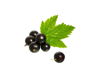 Currant berry with leaf.